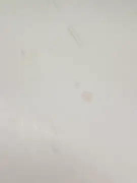 guridosul051 online show from 01-12-26, 02:35