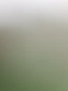 guridosul051 online show from 04-20-26, 11:13