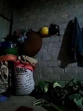 Snapshot of jienrrr chatting on 02-24-26, 11:33 jienrrr online show from 02-24-26, 11:33