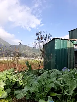 yoowwmr online show from 12-22-25, 01:50