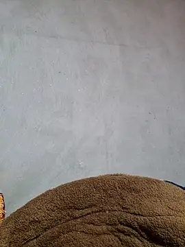 yoowwmr online show from 11-20-25, 05:41