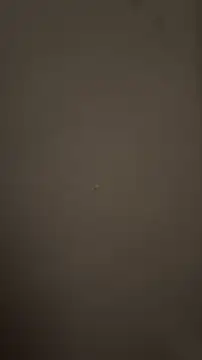 deepu1979 online show from 03-20-26, 12:39