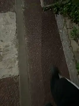 gochu1004 online show from 09-20-25, 03:39