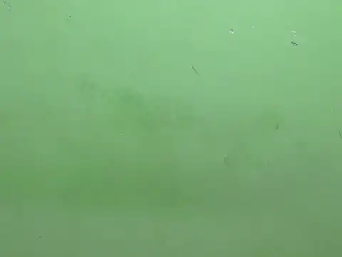 rockyy23boy online show from 10-15-25, 10:23