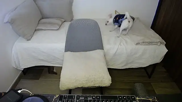 Snapshot of bossking017 chatting on 02-20-26, 04:31 bossking017 online show from 02-20-26, 04:31