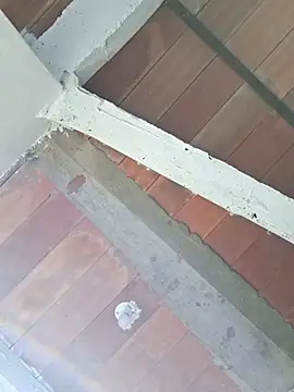 Cataleya ja online show from 02-24-26, 12:39