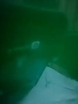 daisylouis online show from 04-03-26, 12:11