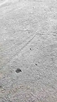 vaibhav0897 online show from 11-22-25, 09:52