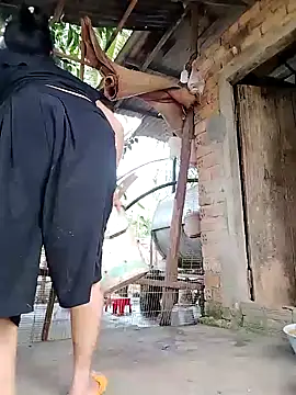 BigBoobs186 online show from 01-11-26, 12:28