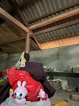 ThiHa003 online show from 03-26-26, 09:07