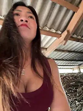 ThiHa003 online show from 02-07-26, 03:47