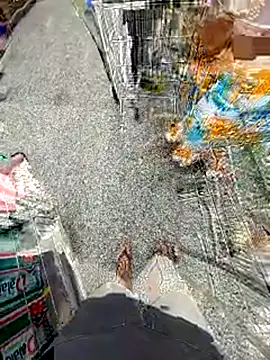 jeff pepoer online show from 02-14-26, 11:54