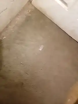 owiwiwkejkd online show from 04-21-26, 11:44