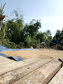 Ocnguyety online show from 10-29-25, 02:21