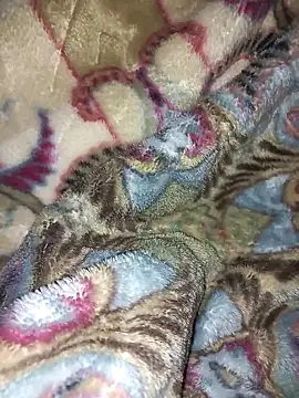 amin20cm online show from 10-28-25, 11:47