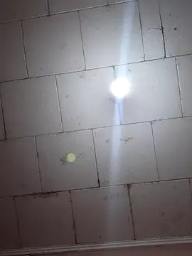 Tudiablita21 online show from 11-05-25, 08:45