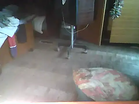 Snapshot of A1B3- chatting on 05-31-26, 04:46 A1B3- online show from 05-31-26, 04:46