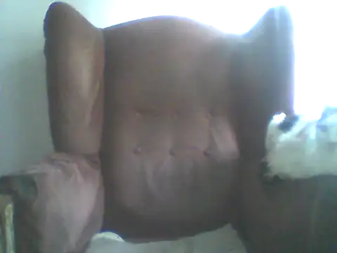 Bebita-zmp online show from 04-02-26, 09:32