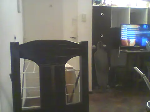 Bebita-zmp online show from 07-05-26, 01:43