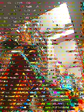 ISHANI-SINGH online show from 11-29-25, 02:55