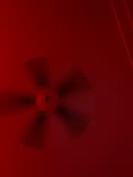 Taydagr8 online show from 09-19-25, 07:56