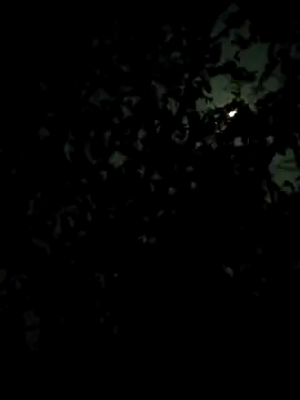 Girls pussy rider online show from 02-28-26, 07:13