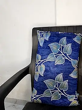 sneha bebo online show from 11-29-25, 03:12