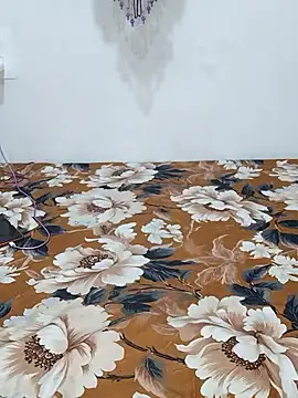 sneha bebo online show from 01-09-26, 03:08