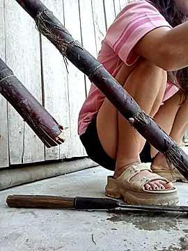 daisy will online show from 02-16-26, 08:02