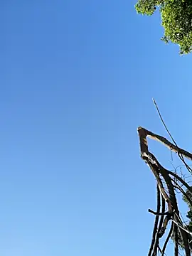 Snapshot of Mounstro3 chatting on 03-22-26, 10:33 Mounstro3 online show from 03-22-26, 10:33