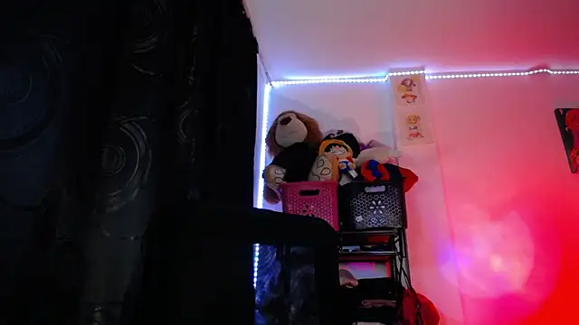 robin nj online show from 03-28-26, 12:00