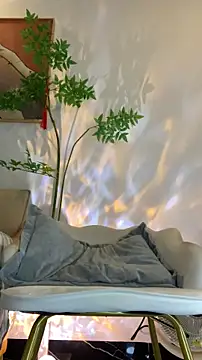 zhizhinaigai online show from 02-16-26, 06:12