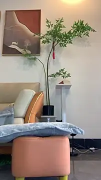 zhizhinaigai online show from 01-19-26, 04:05