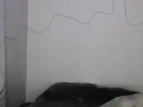 xalejo max online show from 02-16-26, 07:34