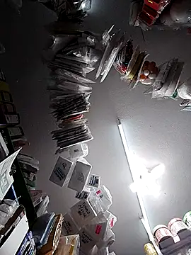 icpetlsjrukgwaykjrw 25 online show from 10-29-25, 11:25