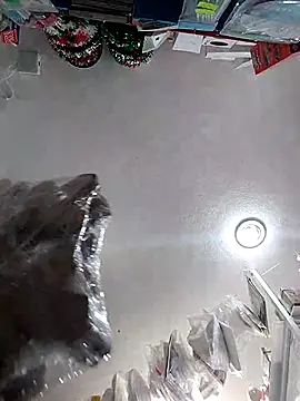 icpetlsjrukgwaykjrw 25 online show from 11-14-25, 08:56