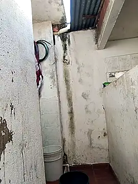 Brayanellatino online show from 04-06-26, 08:10