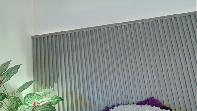 Celeste Presstigge online show from 11-24-25, 11:27