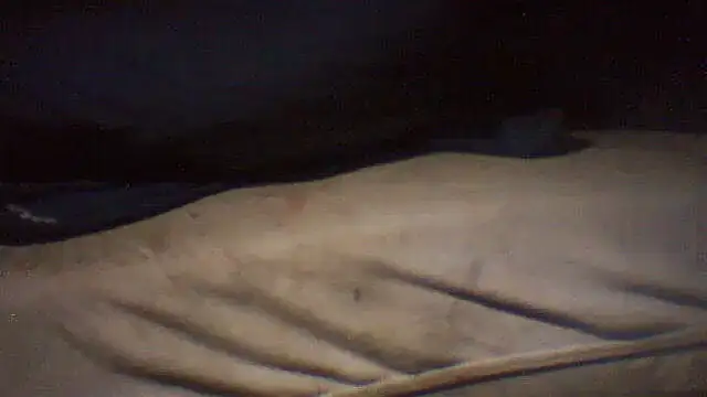 pietje1991 online show from 05-15-26, 05:11