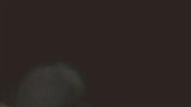 pietje1991 online show from 05-16-26, 11:37