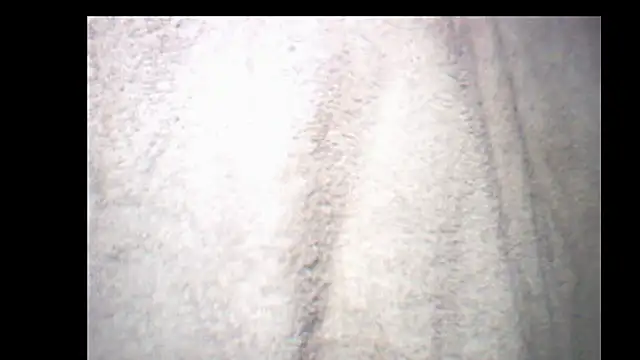 pietje1991 online show from 12-14-25, 10:26