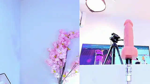 maily zanss online show from 03-04-26, 07:43