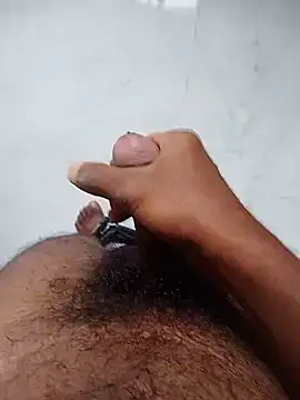 Marathi bull online show from 11-01-25, 08:19