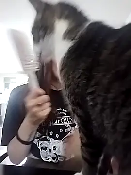 Cami Konor online show from 09-11-25, 04:07