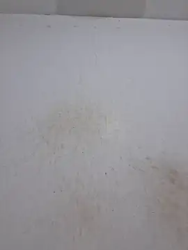 Elianasuarezz online show from 03-15-26, 12:28