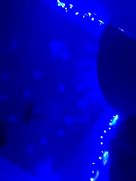 StatedEgalite online show from 04-24-26, 03:08