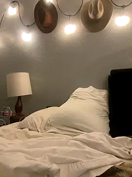 thejohnryancollection online show from 11-04-25, 06:17