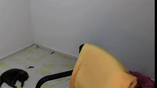 meganmiauu online show from 05-11-26, 04:04