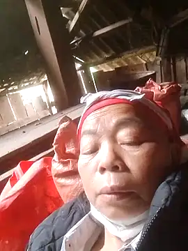 VangLe73 online show from 11-05-25, 02:47