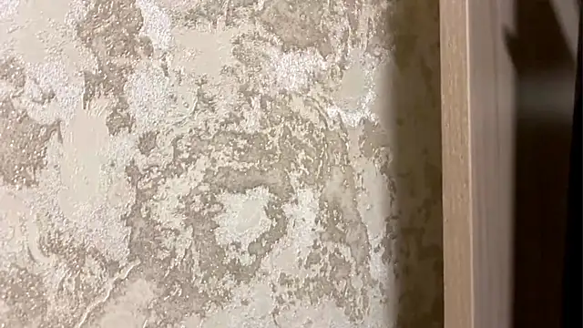 Purekittyshy online show from 11-22-25, 03:33